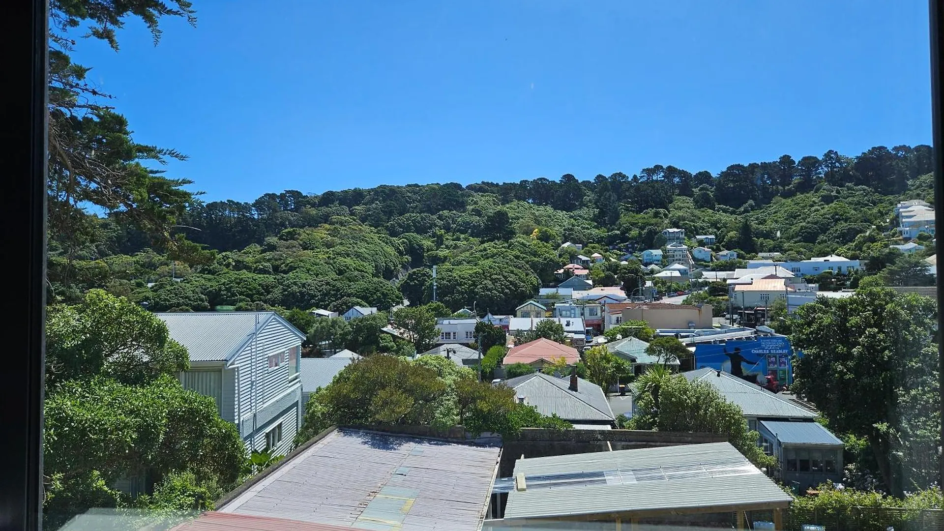 New And Fabulous, City Fringe Bliss! Wellington